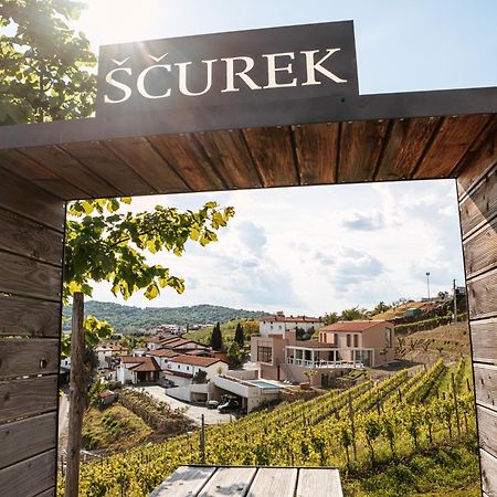 多布罗沃Posestvo Scurek Wine住宿加早餐旅馆 外观 照片