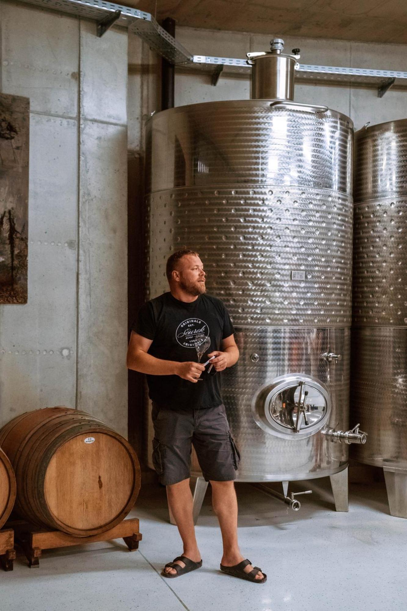 多布罗沃Posestvo Scurek Wine住宿加早餐旅馆 外观 照片
