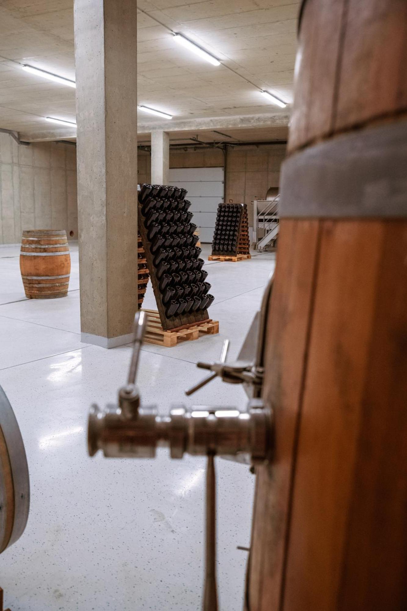 多布罗沃Posestvo Scurek Wine住宿加早餐旅馆 外观 照片