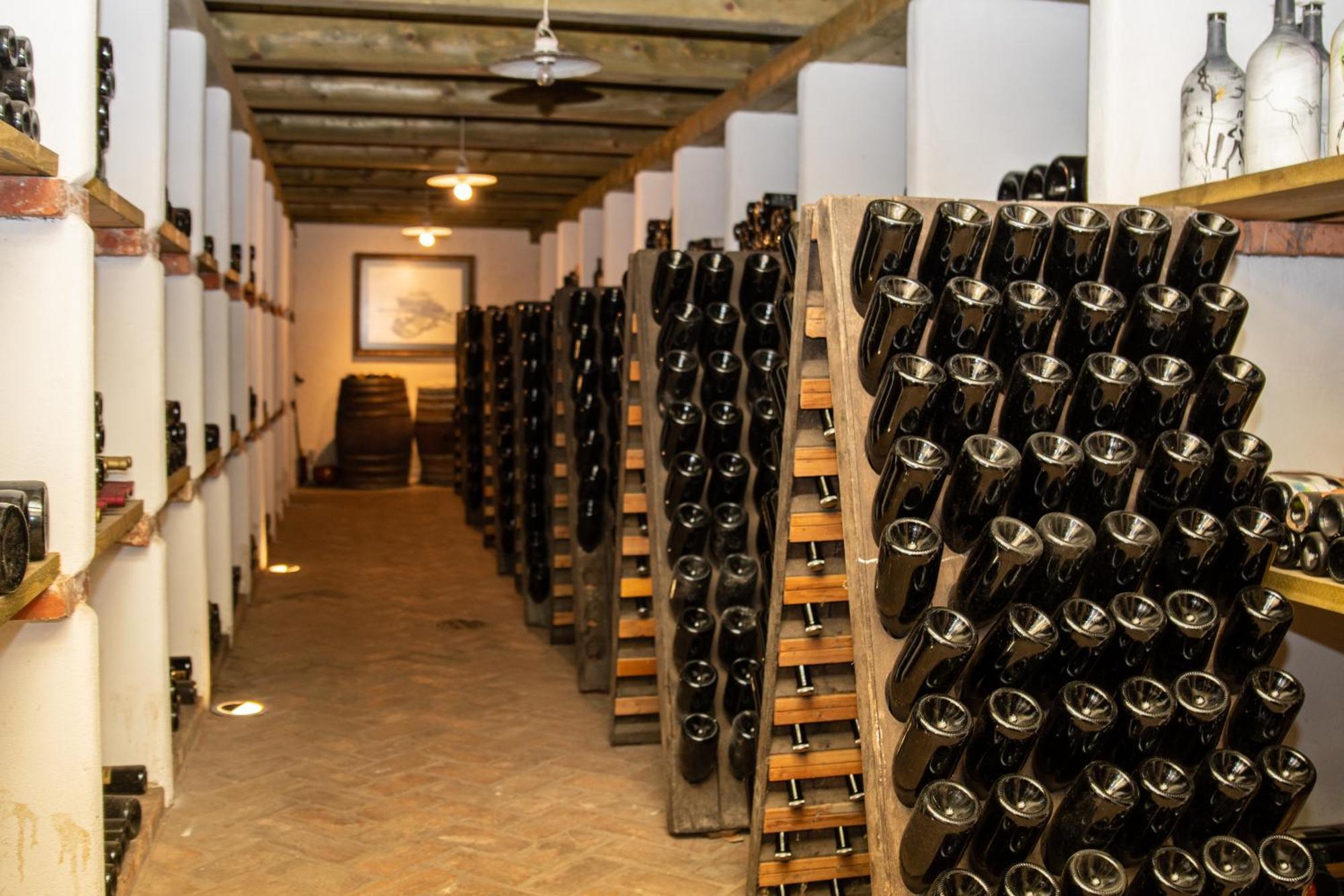 多布罗沃Posestvo Scurek Wine住宿加早餐旅馆 外观 照片