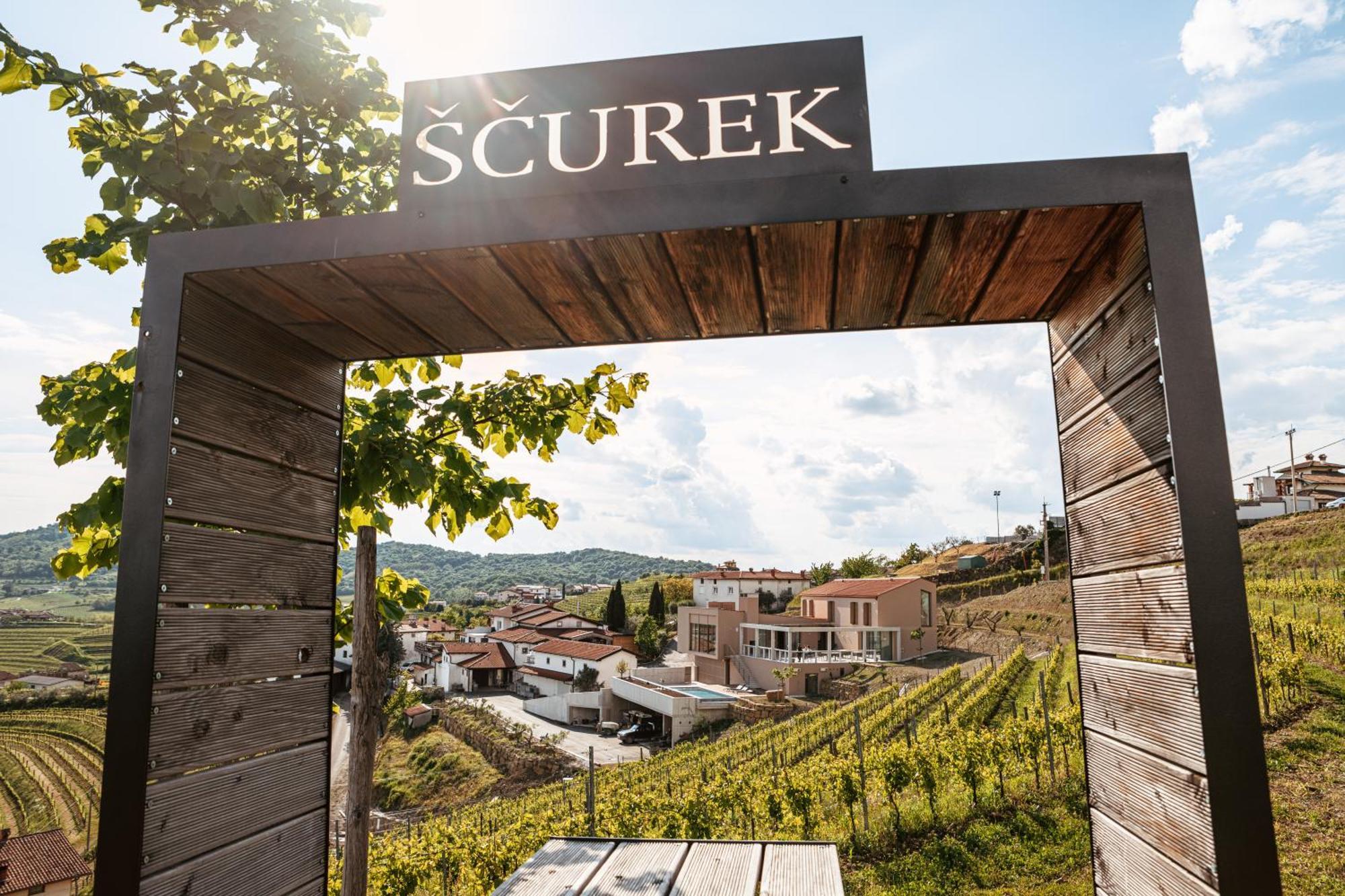 多布罗沃Posestvo Scurek Wine住宿加早餐旅馆 外观 照片