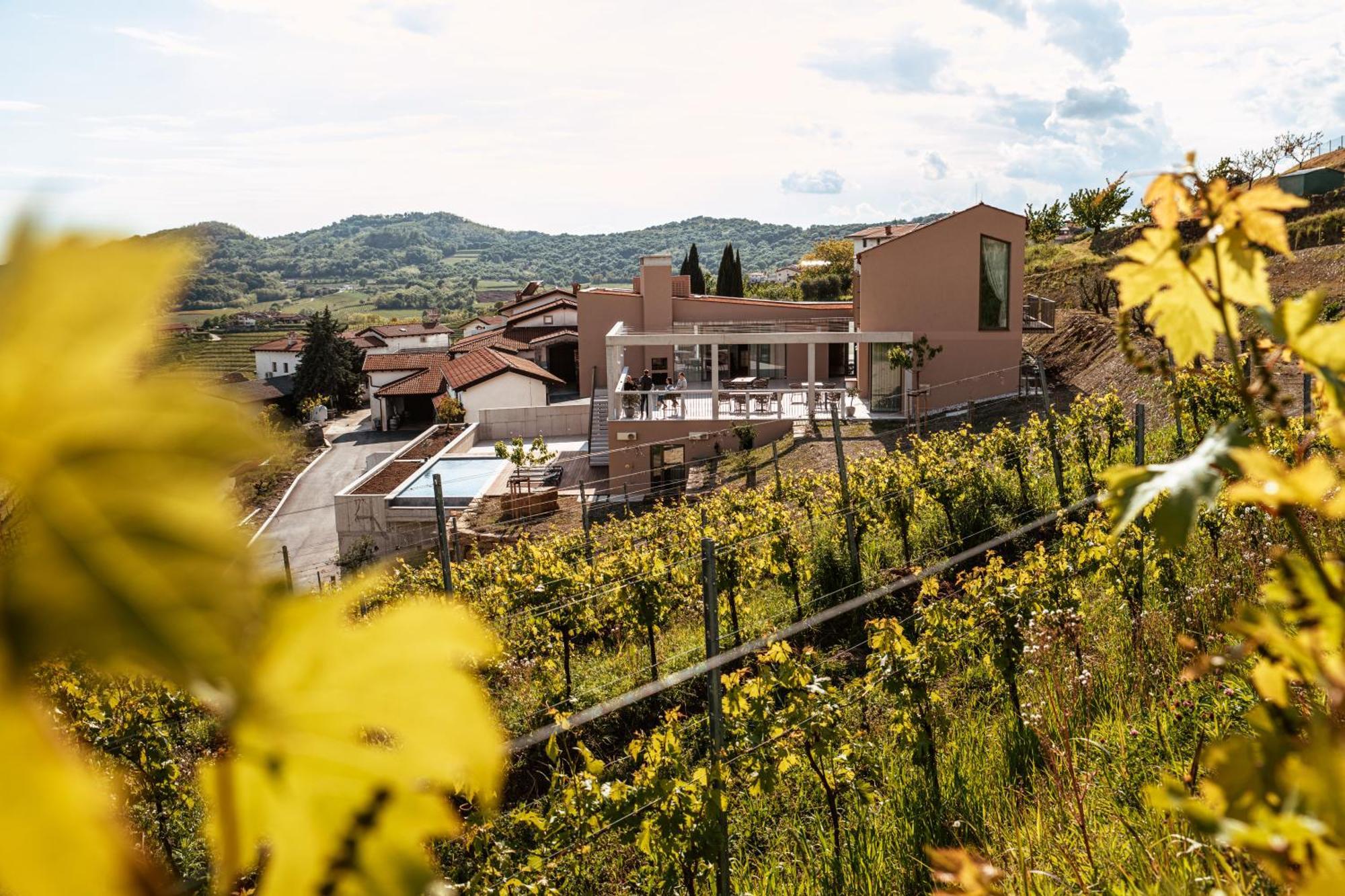 多布罗沃Posestvo Scurek Wine住宿加早餐旅馆 外观 照片