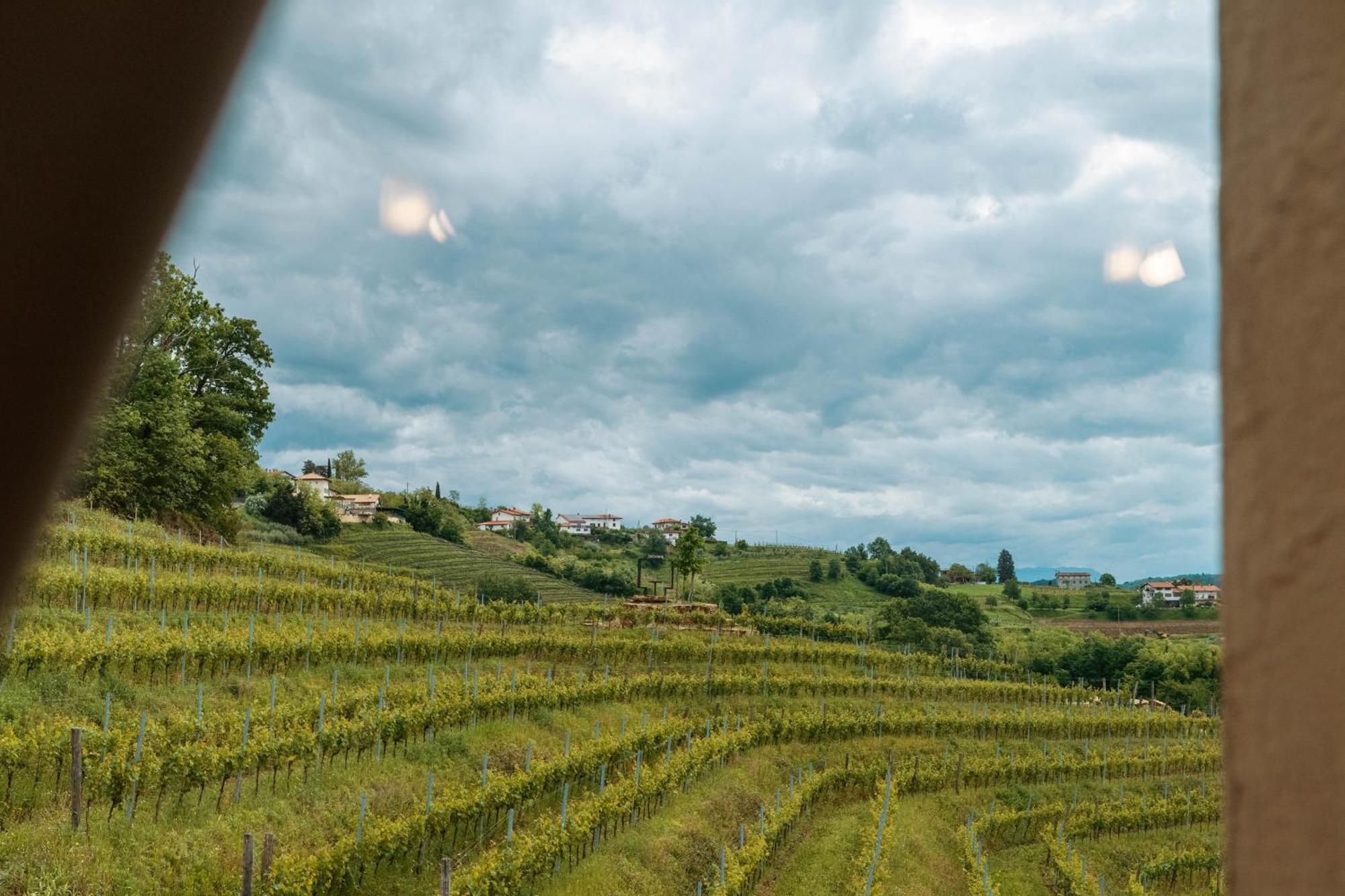 多布罗沃Posestvo Scurek Wine住宿加早餐旅馆 外观 照片